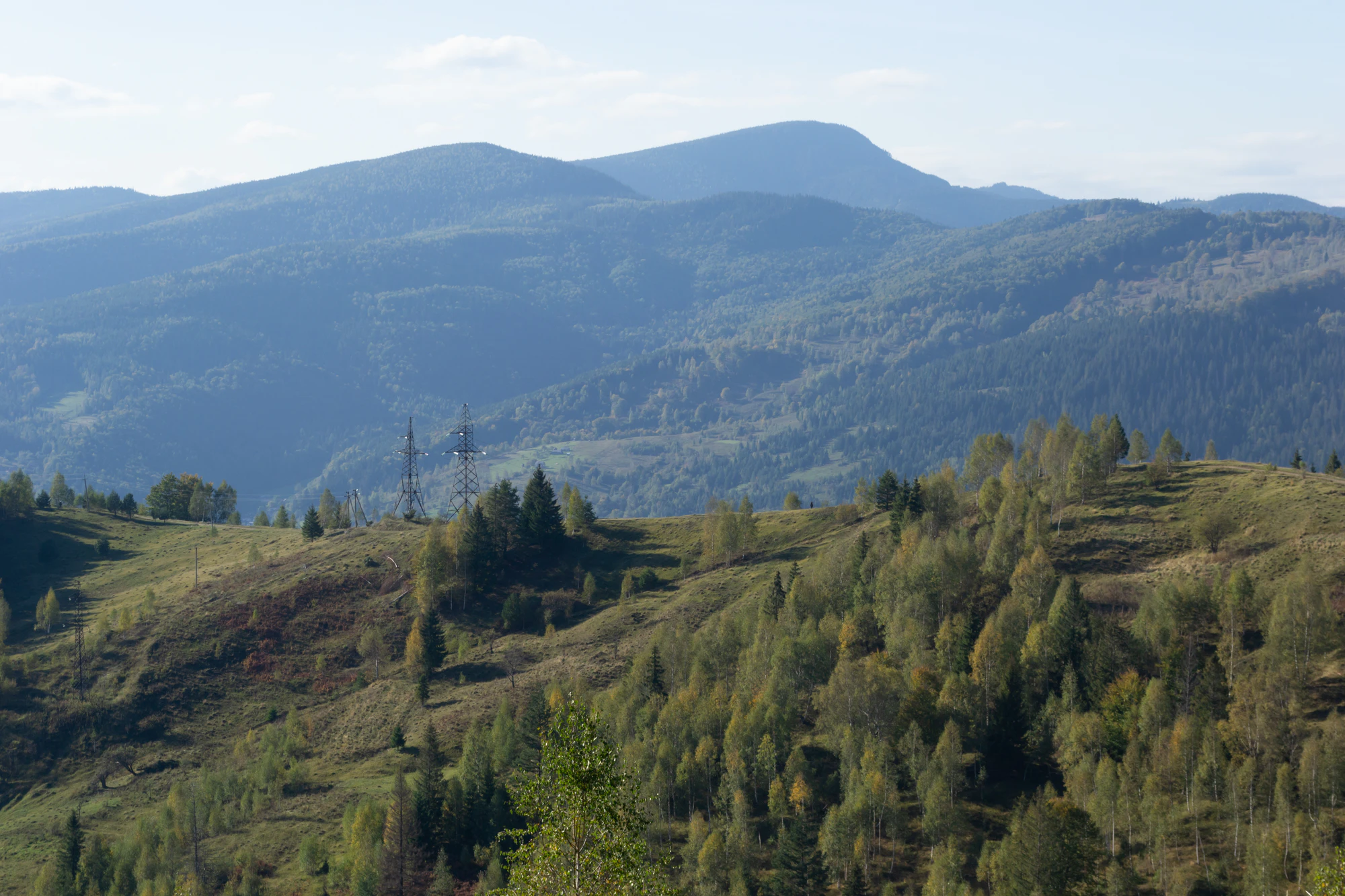 carpathian mountains in summer 095 — Descargar