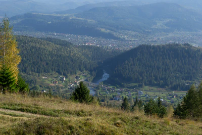 carpathian mountains in summer 096 — Descargar