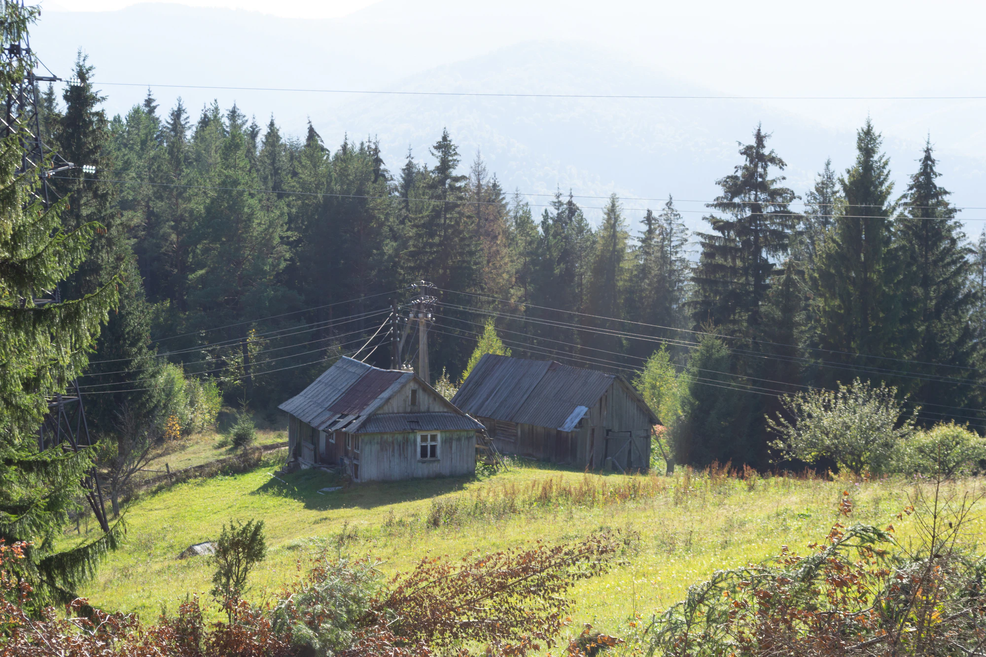 carpathian mountains in summer 098 — Descargar