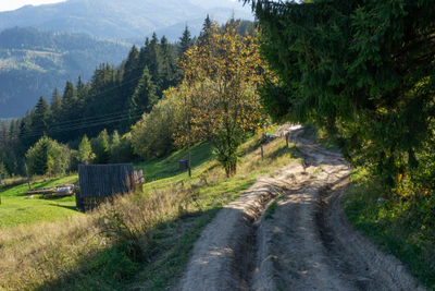 carpathian mountains in summer 099 — Скачать
