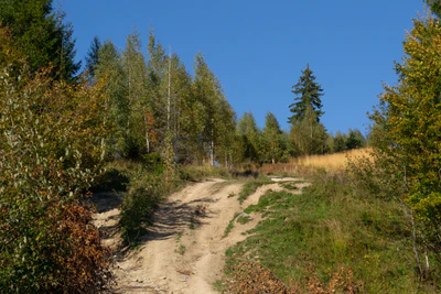 carpathian mountains in summer 100 — Descargar