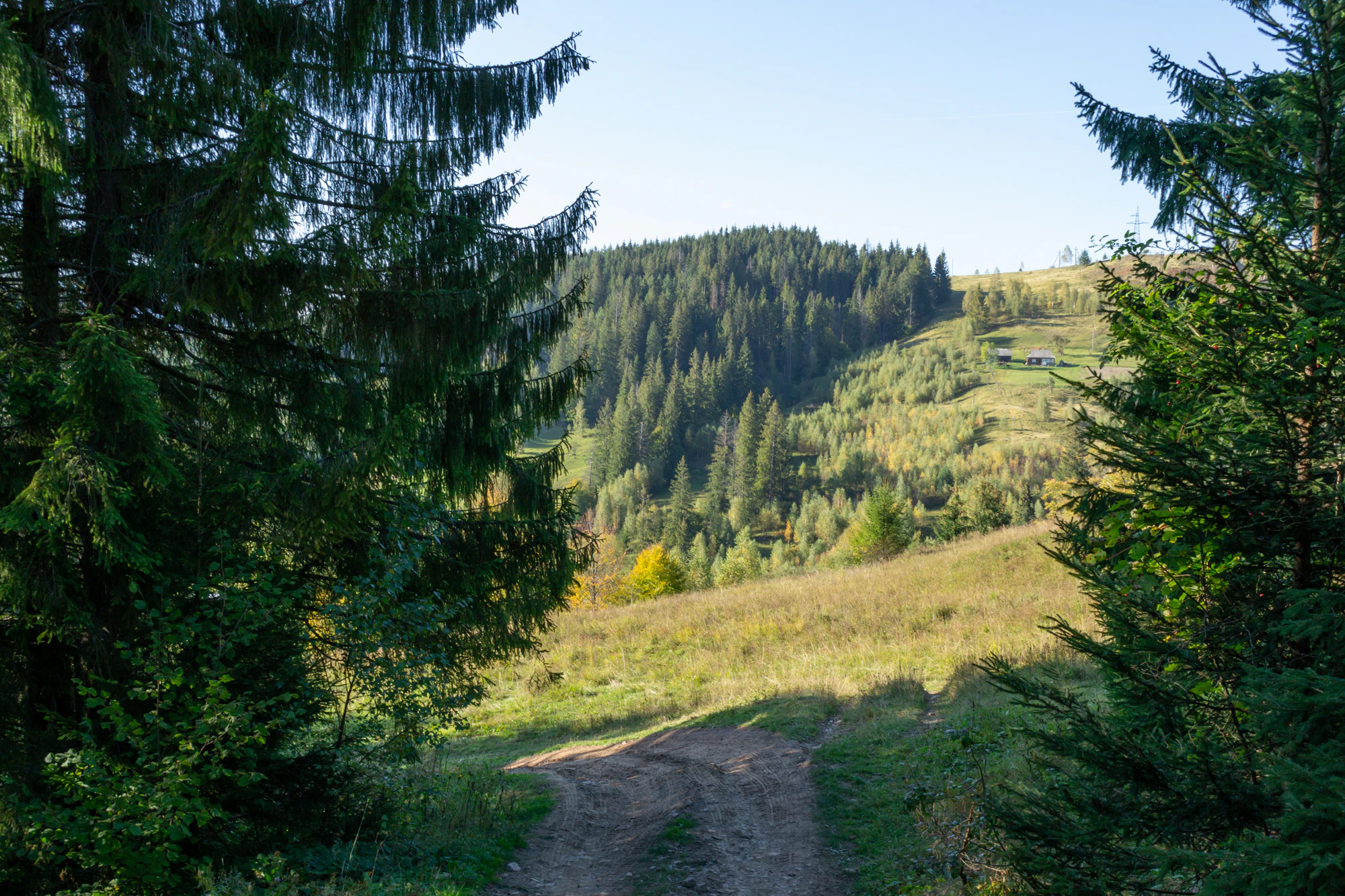 carpathian mountains in summer 107 — Скачать