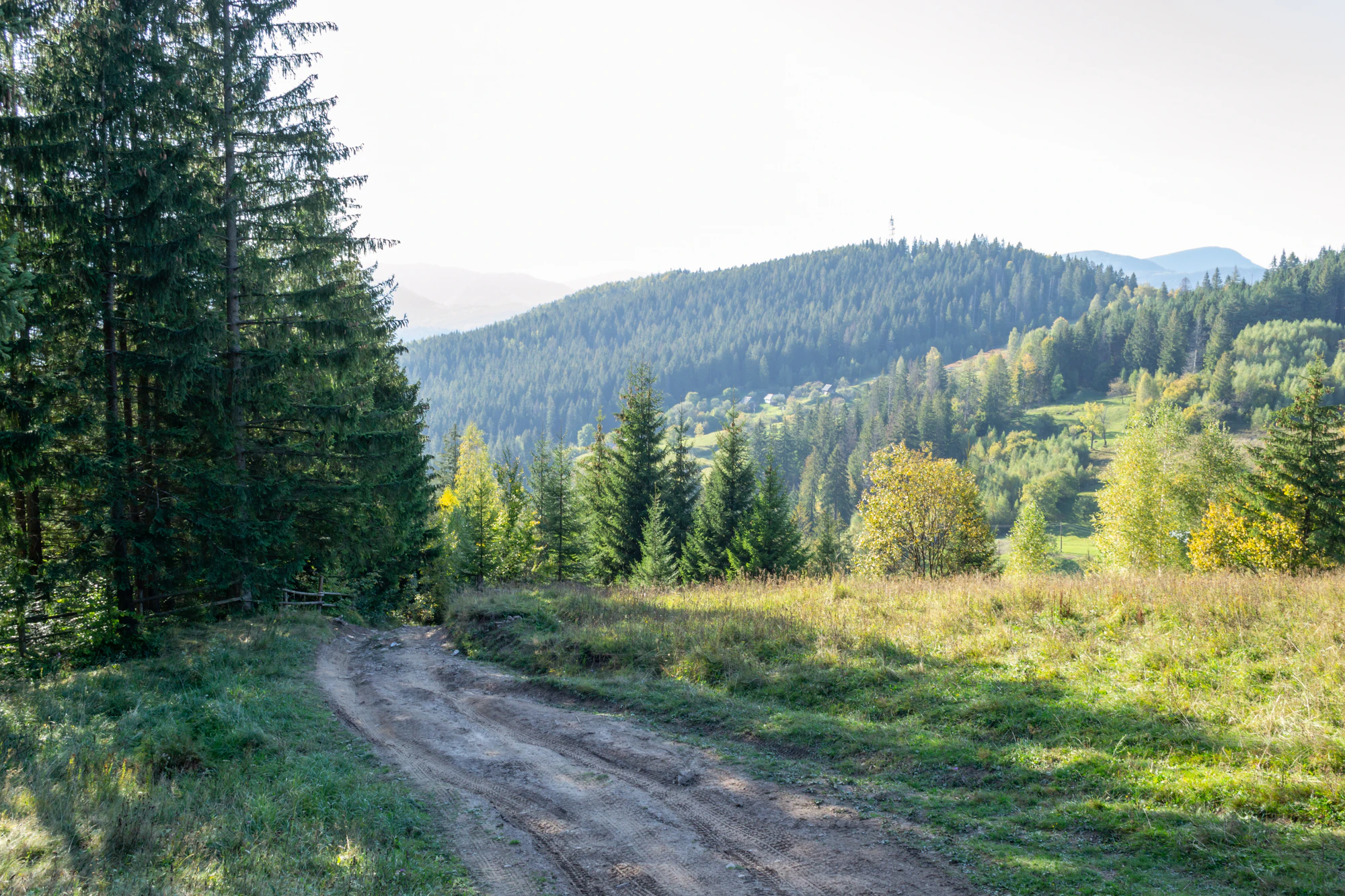 carpathian mountains in summer 108 — Скачать