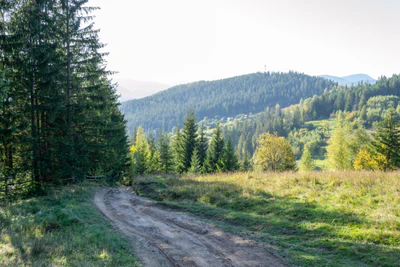 carpathian mountains in summer 108 — Скачать