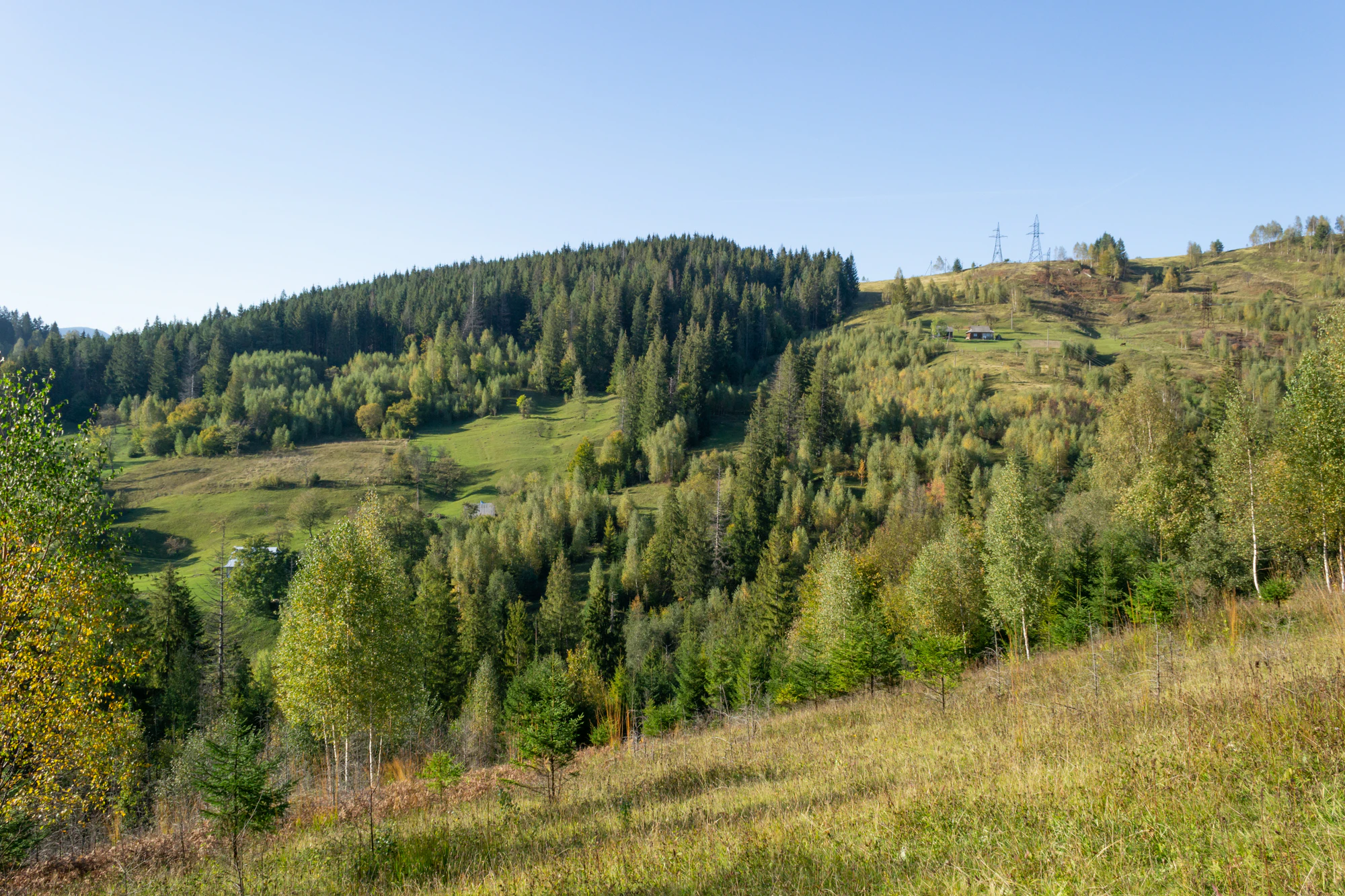 carpathian mountains in summer 109 — Download