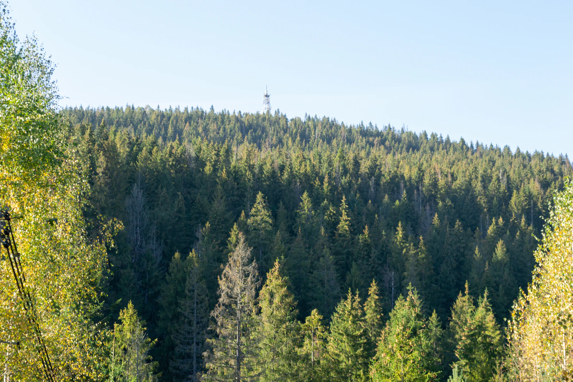 carpathian mountains in summer 111 — Скачать