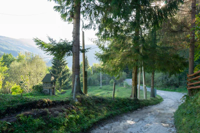 carpathian mountains in summer 112 — Descargar