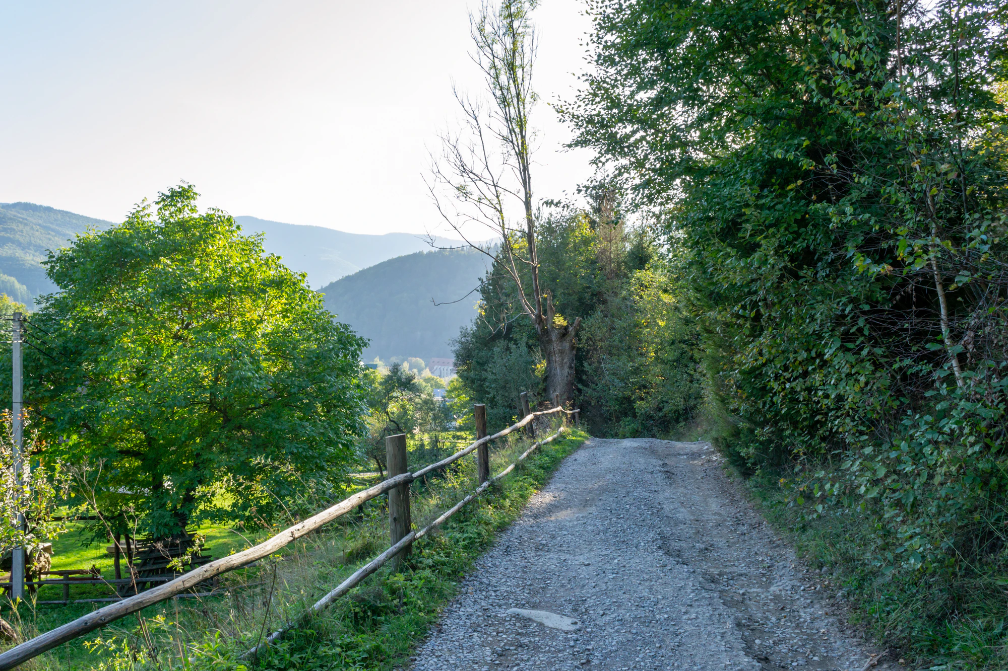 carpathian mountains in summer 113 — Descargar