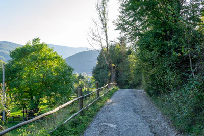 carpathian mountains in summer 113 — Descargar