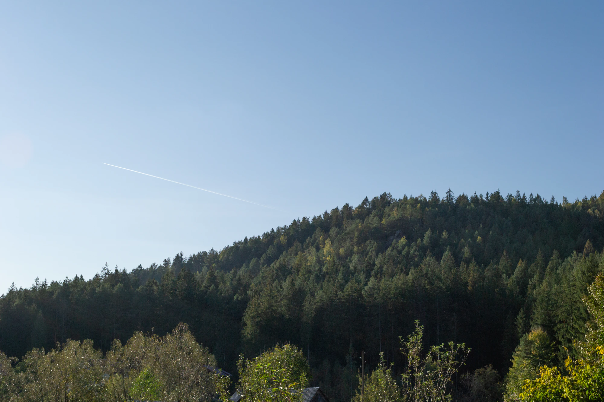 carpathian mountains in summer 116 — Скачать