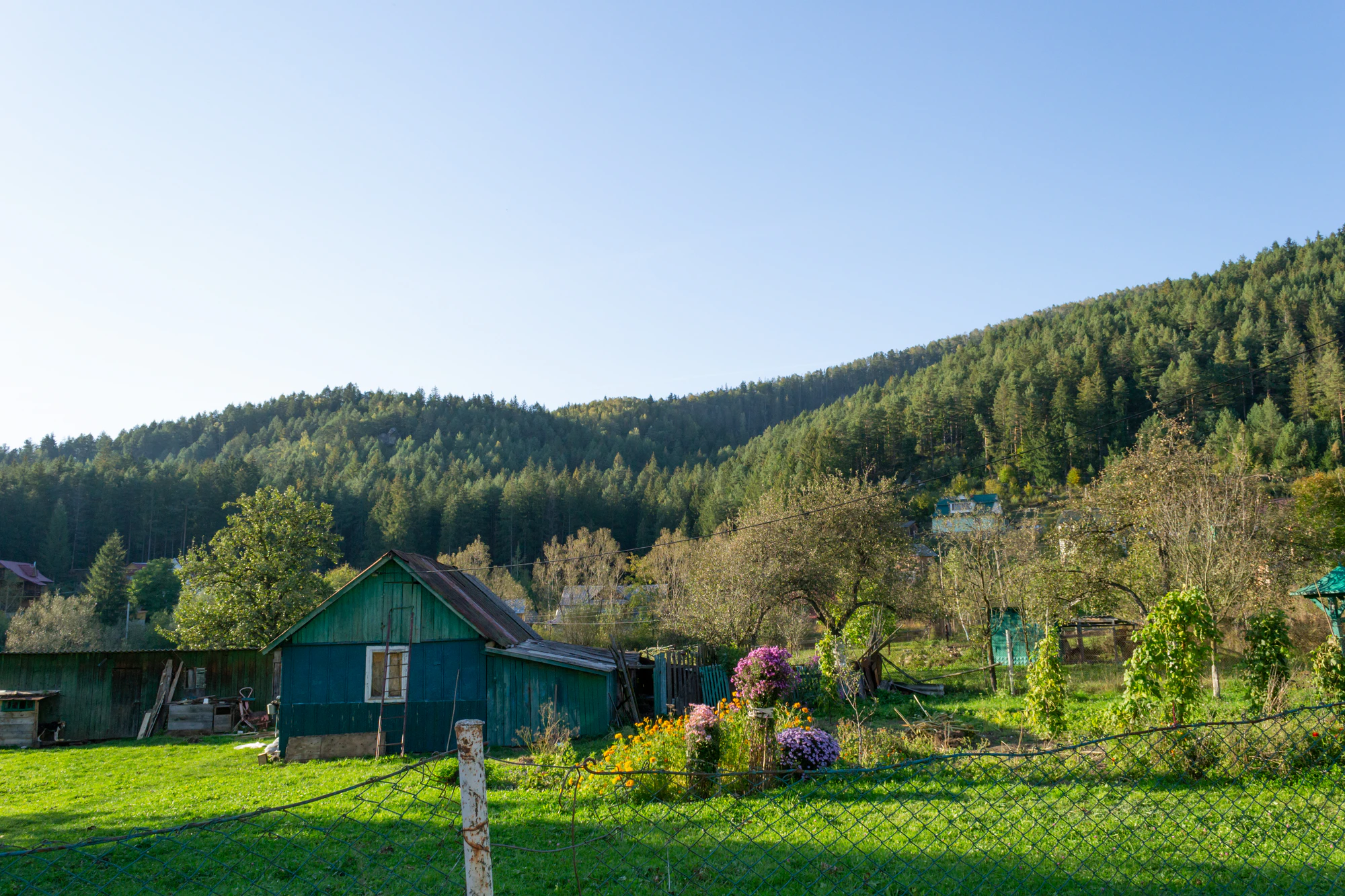 carpathian mountains in summer 117 — Descargar