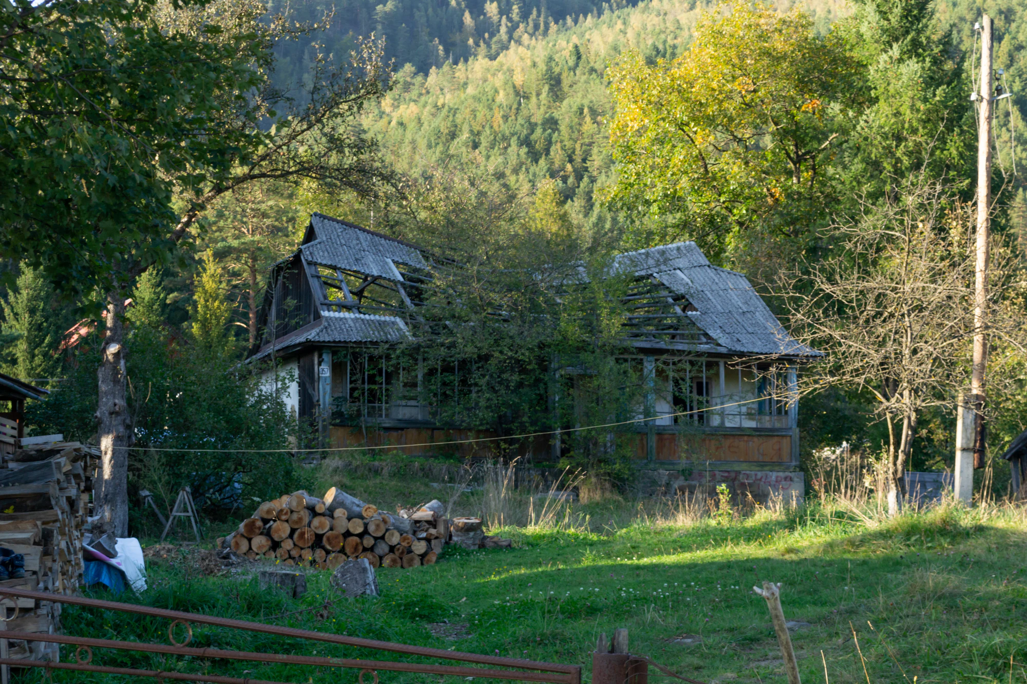 carpathian mountains in summer 121 — Descargar