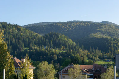 carpathian mountains in summer 122 — Скачать