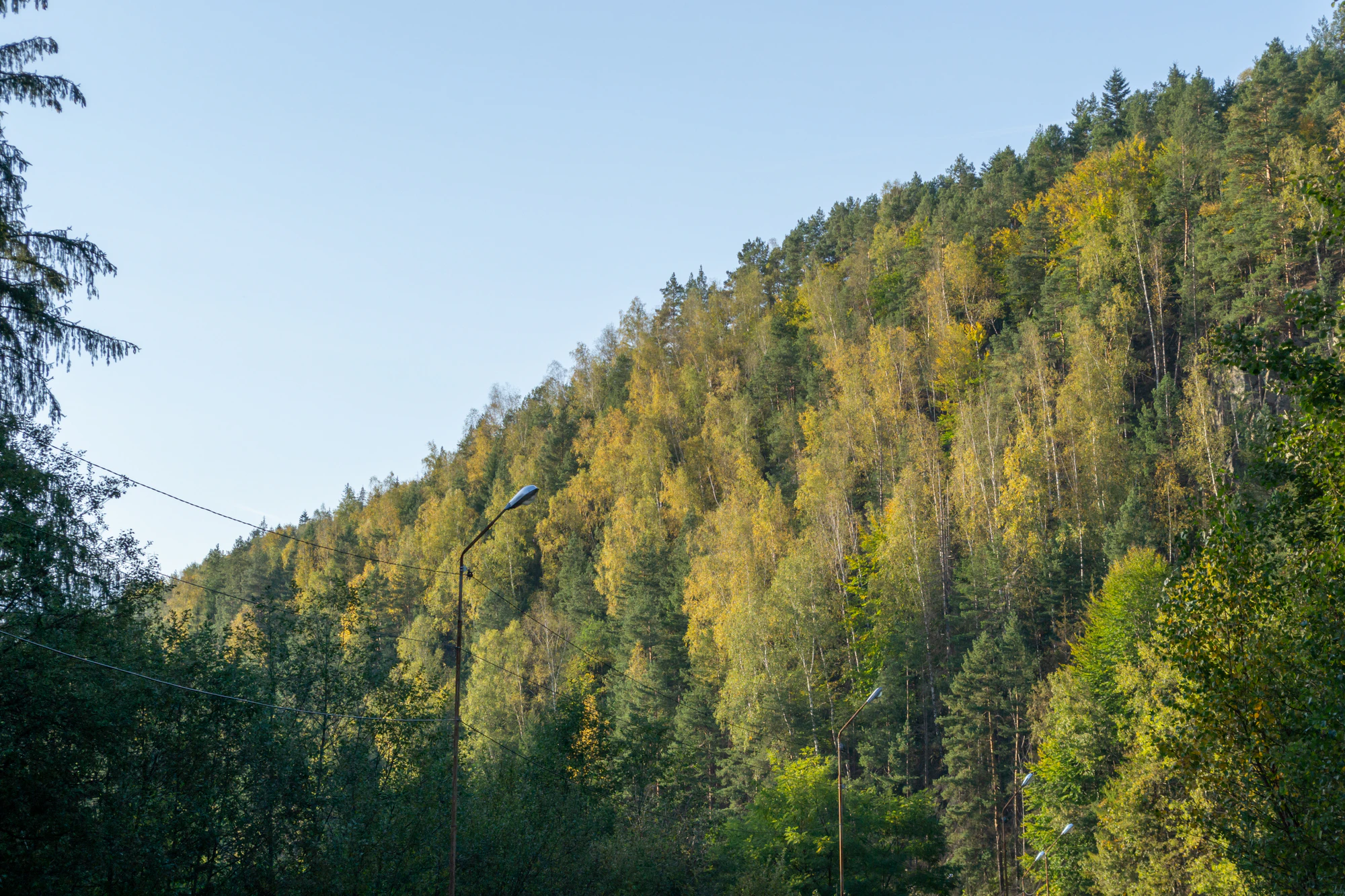 carpathian mountains in summer 123 — Скачать