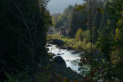 carpathian mountains in summer 124 — Descargar