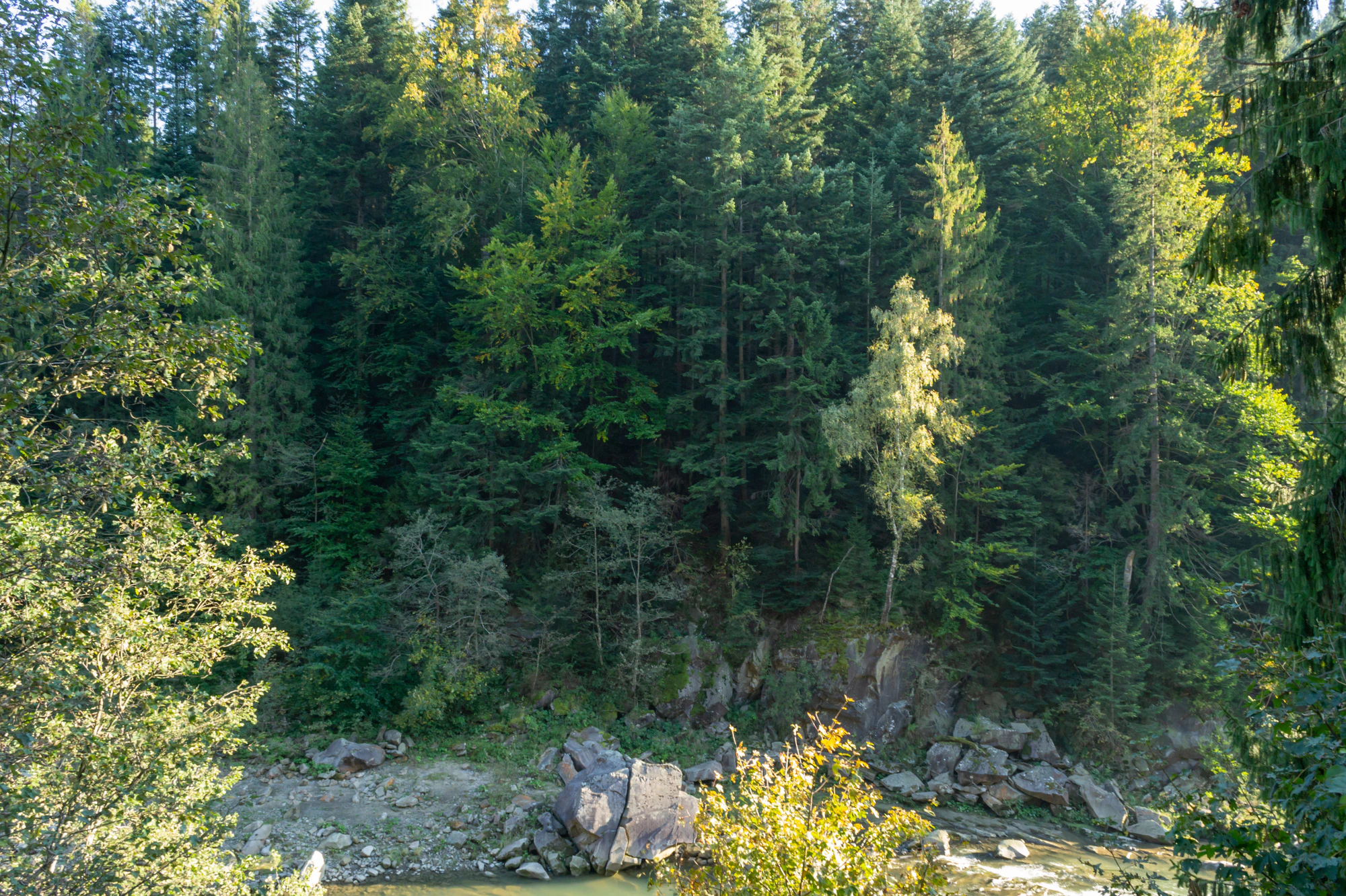 carpathian mountains in summer 127 — Скачать