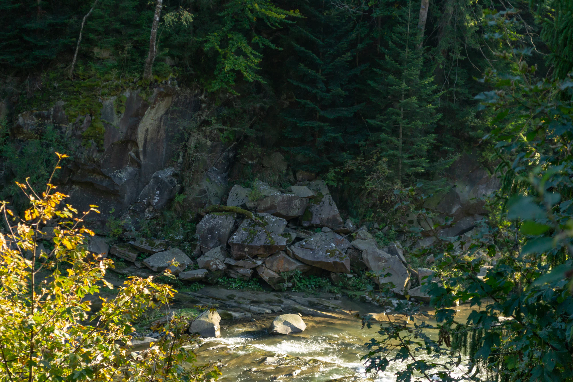 carpathian mountains in summer 128 — Descargar