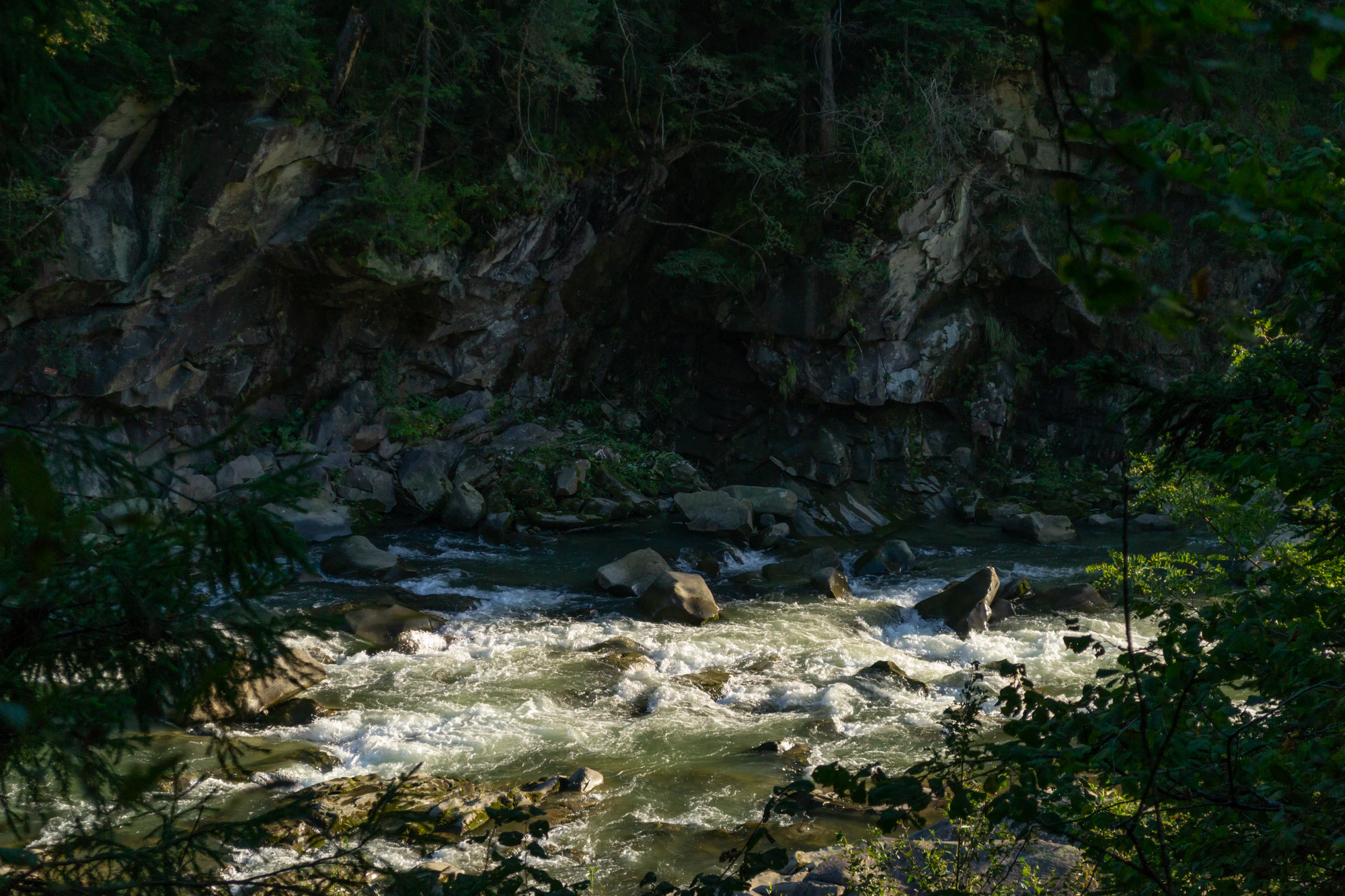 carpathian mountains in summer 130 — Скачать