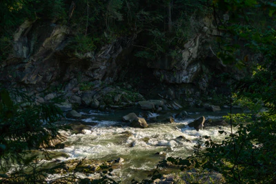 carpathian mountains in summer 130 — Скачать