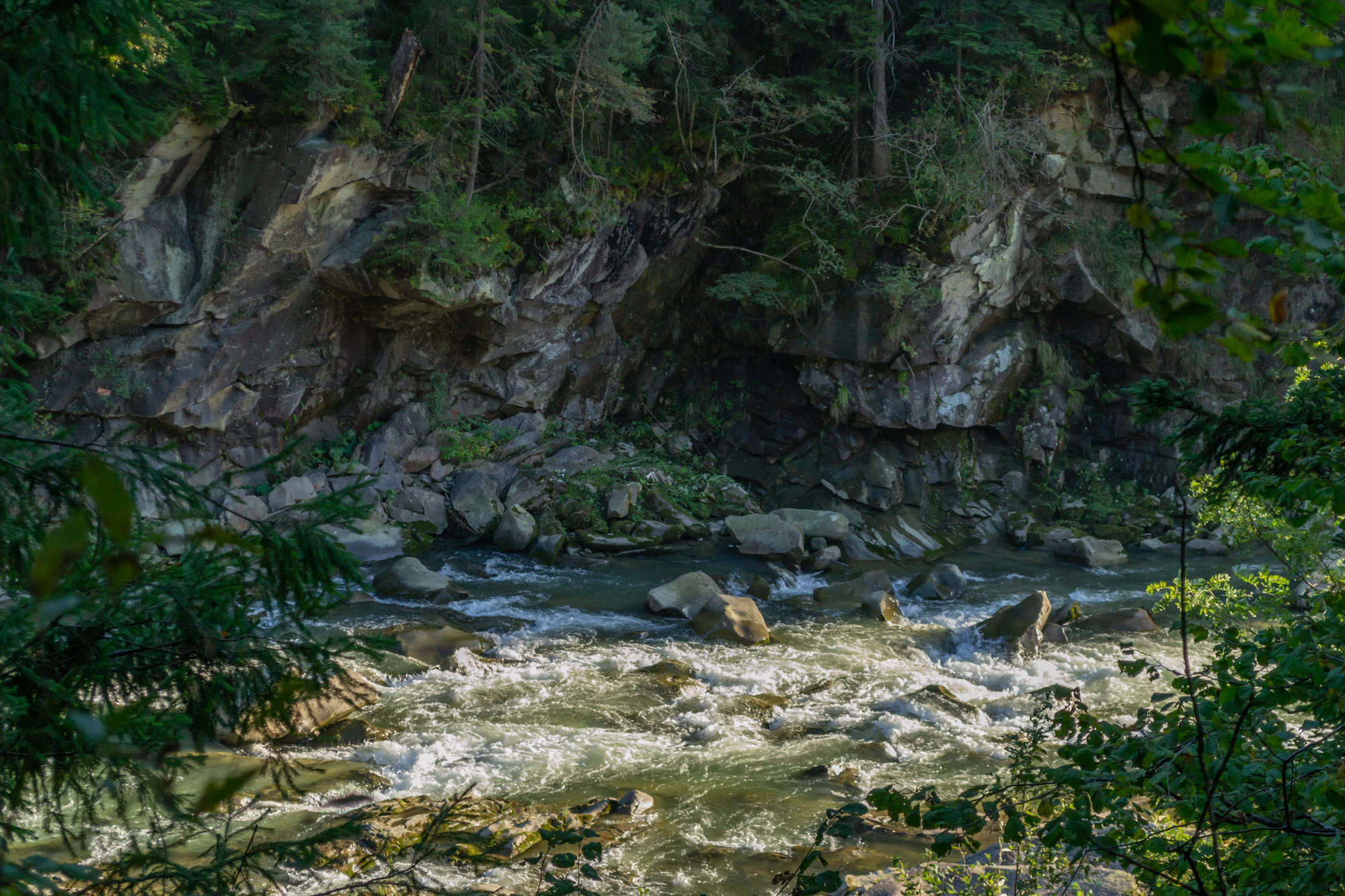 carpathian mountains in summer 131 — Descargar