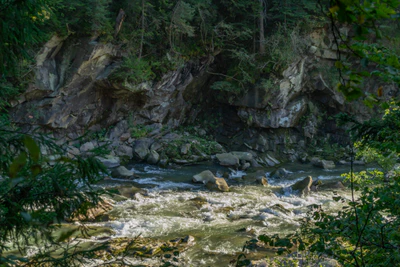 carpathian mountains in summer 131 — Descargar