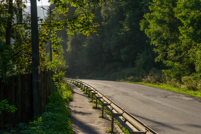 carpathian mountains in summer 132 — Скачать