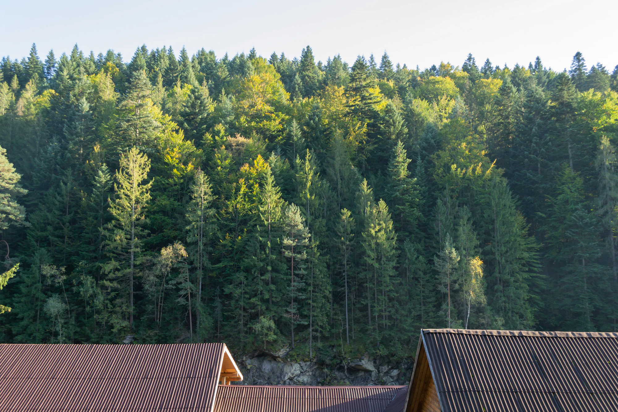 carpathian mountains in summer 133 — Скачать