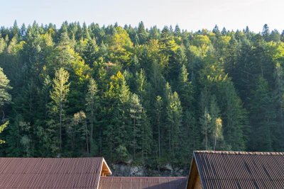carpathian mountains in summer 133 — Скачать