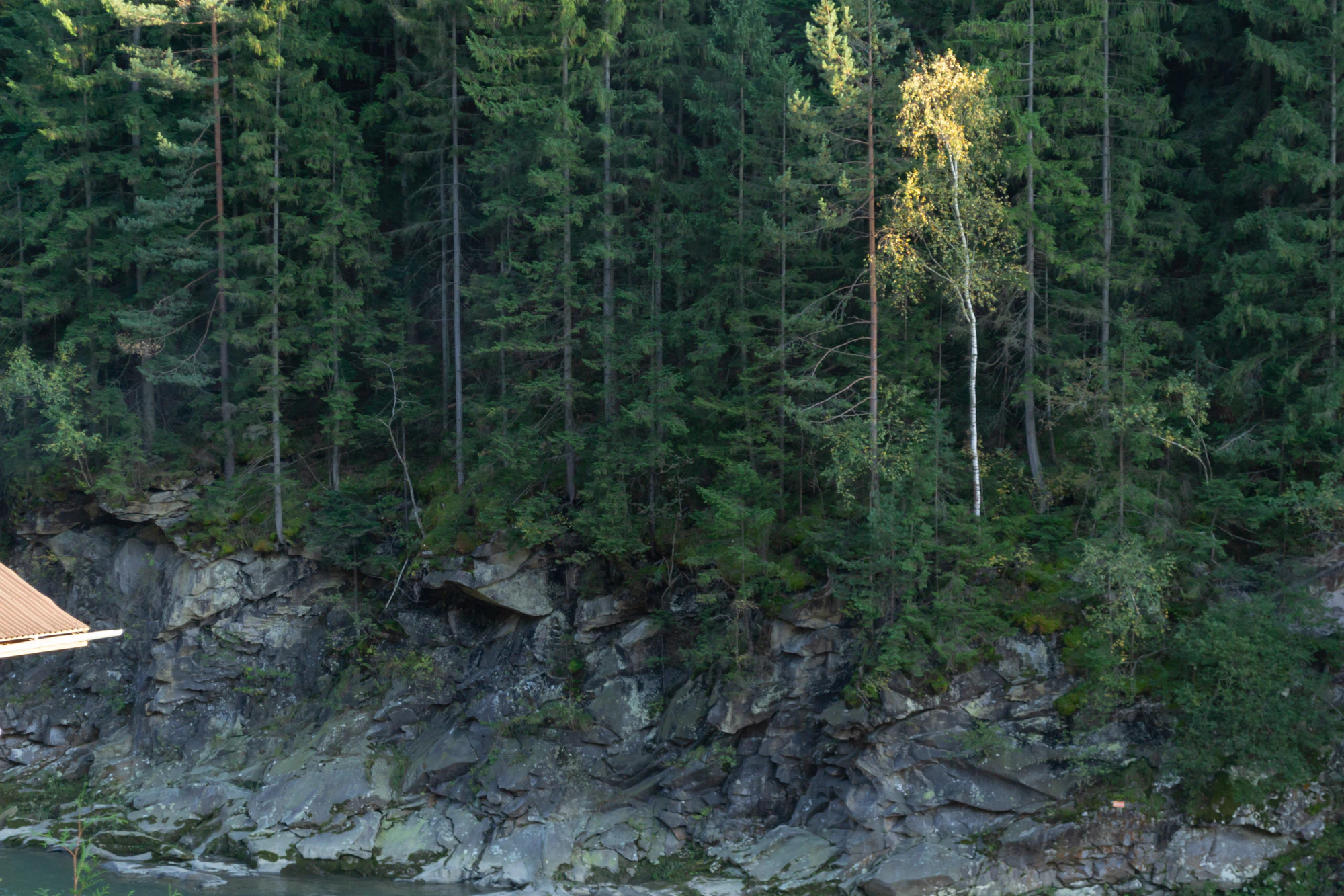 carpathian mountains in summer 135 — Скачать