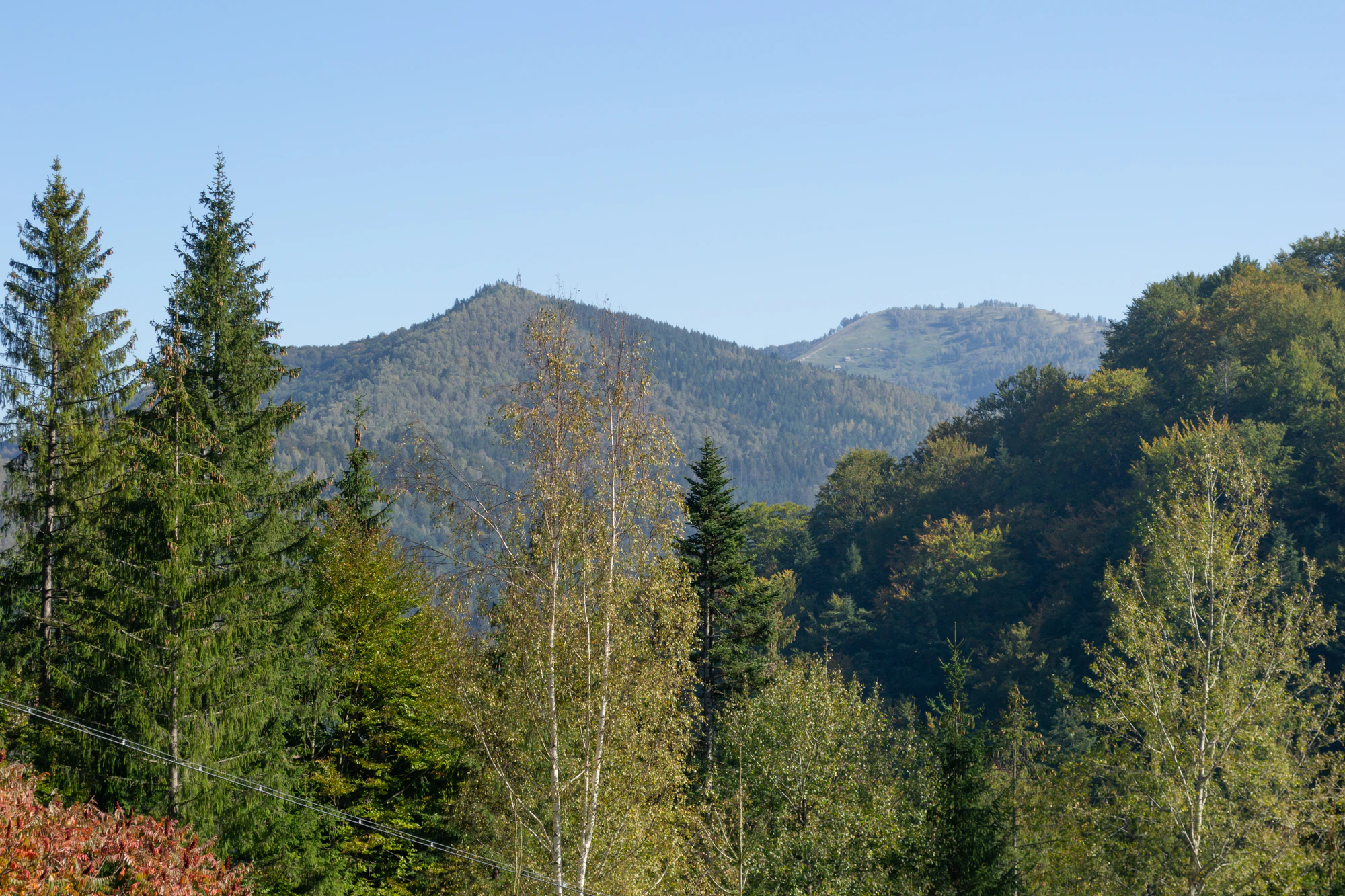 carpathian mountains in summer 139 — Скачать