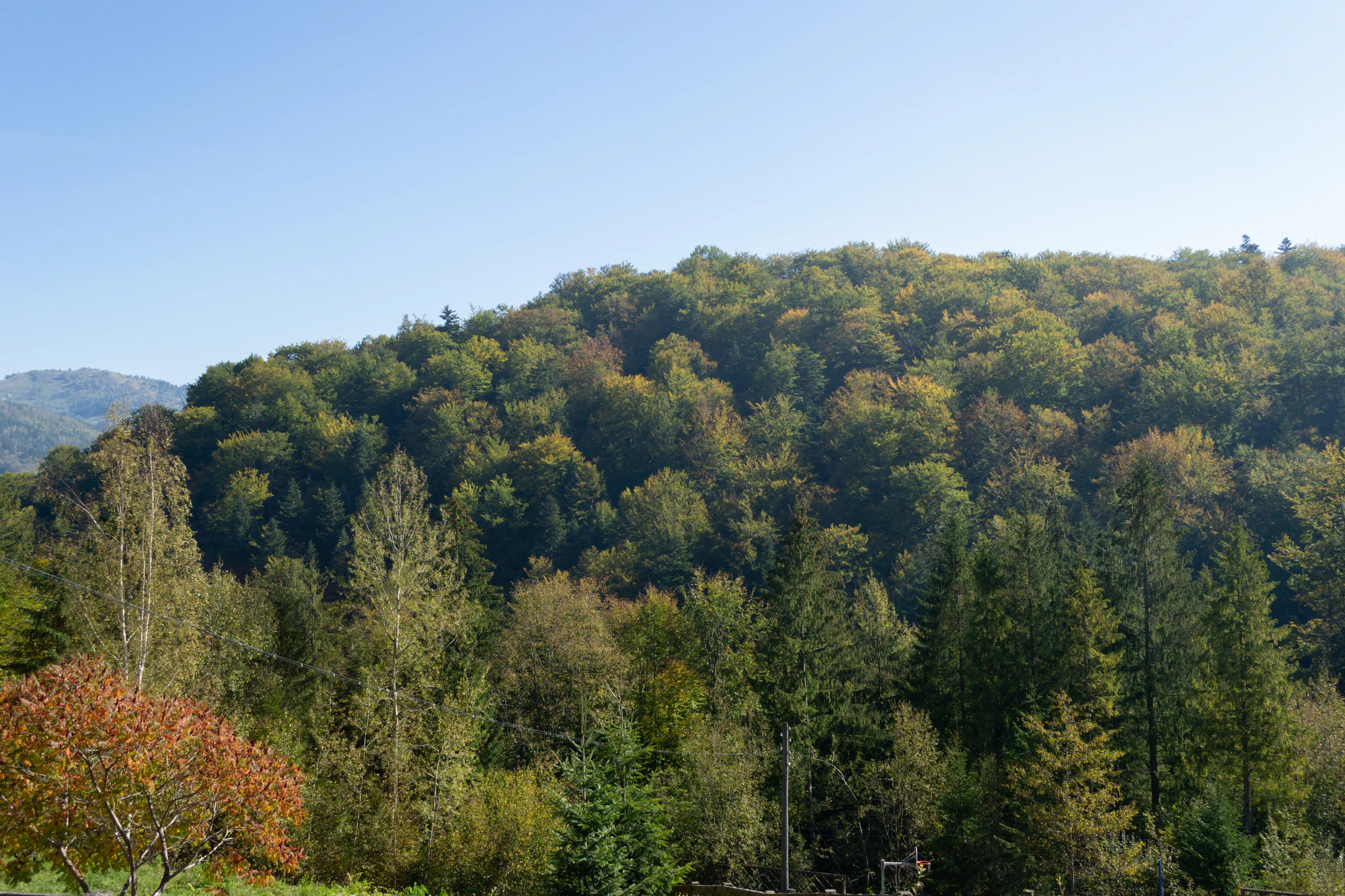 carpathian mountains in summer 140 — Скачать