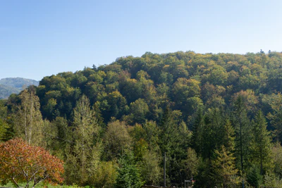 carpathian mountains in summer 140 — Скачать