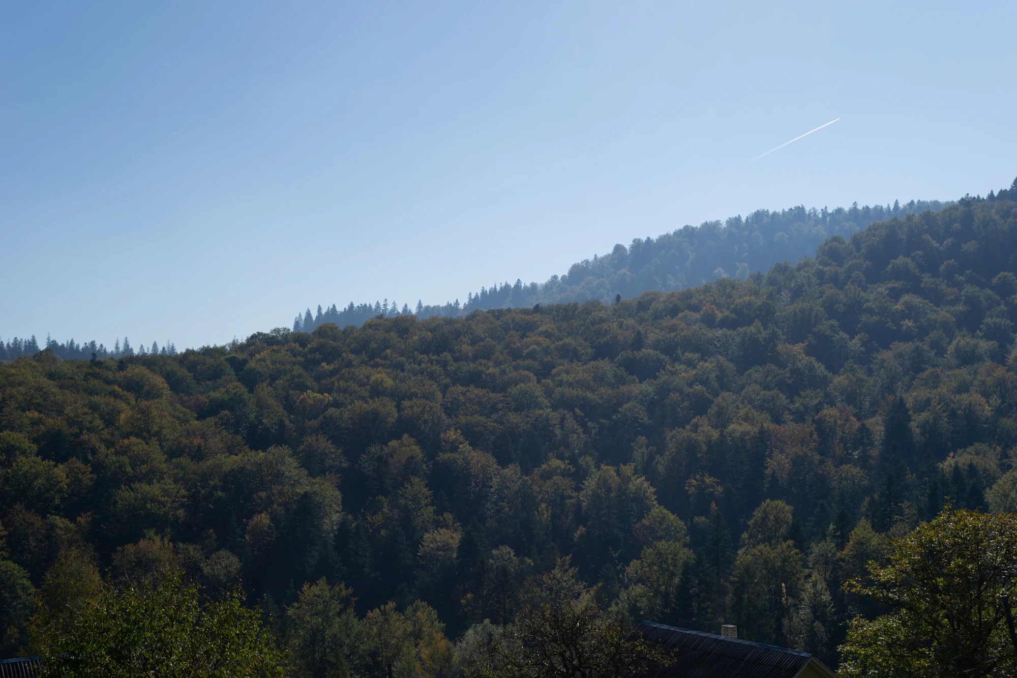 carpathian mountains in summer 141 — Скачать