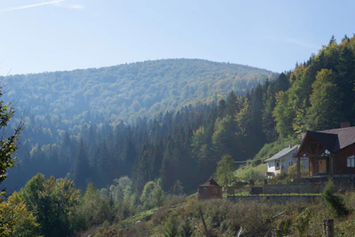 carpathian mountains in summer 142 — Скачать