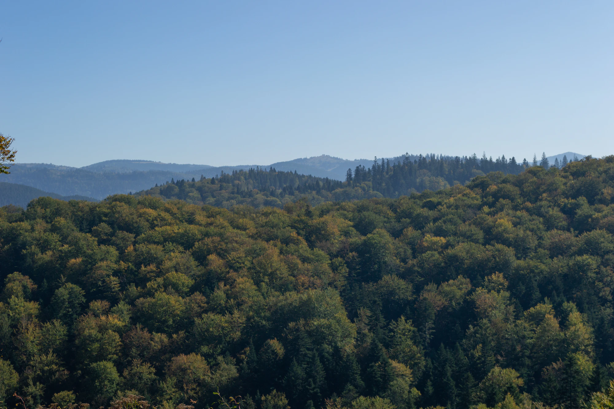 carpathian mountains in summer 144 — Descargar