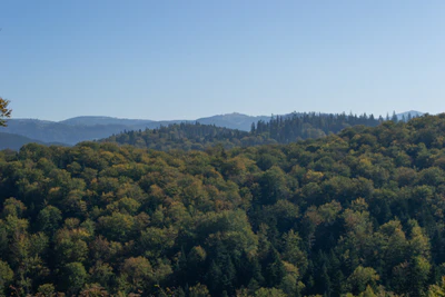 carpathian mountains in summer 144 — Descargar