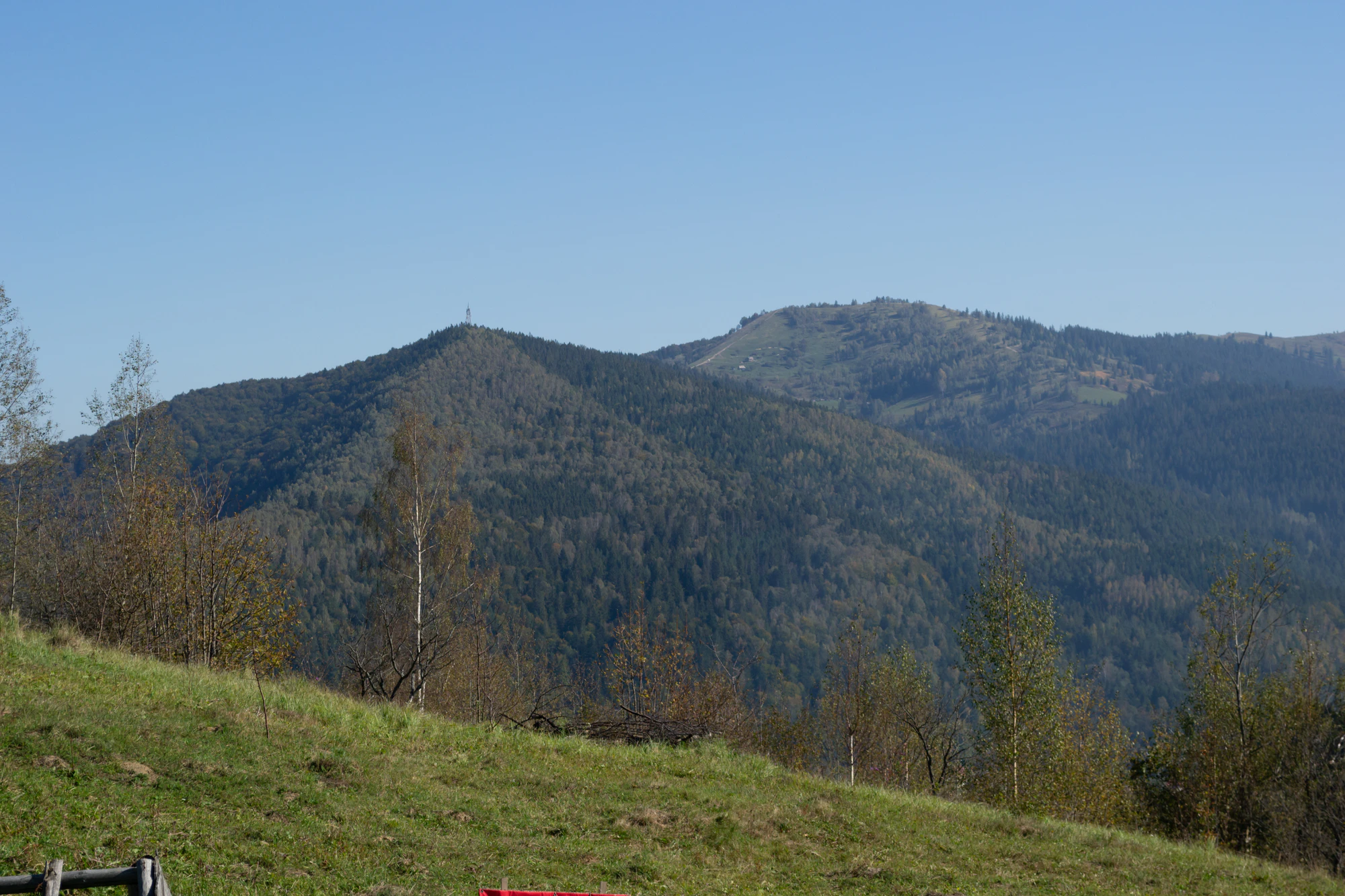 carpathian mountains in summer 145 — Скачать