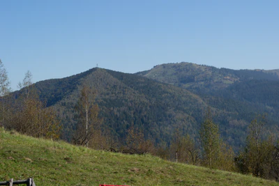 carpathian mountains in summer 145 — Скачать