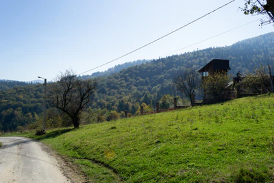 carpathian mountains in summer 146 — Скачать