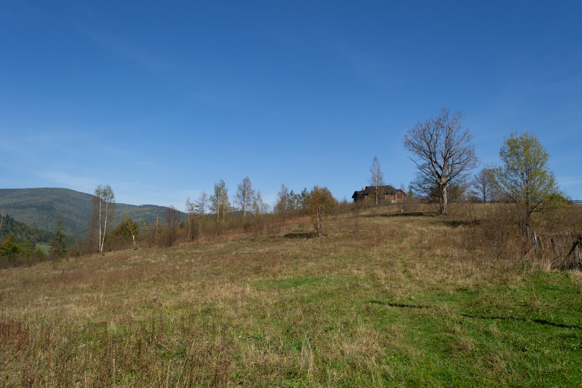 carpathian mountains in summer 147 — Descargar
