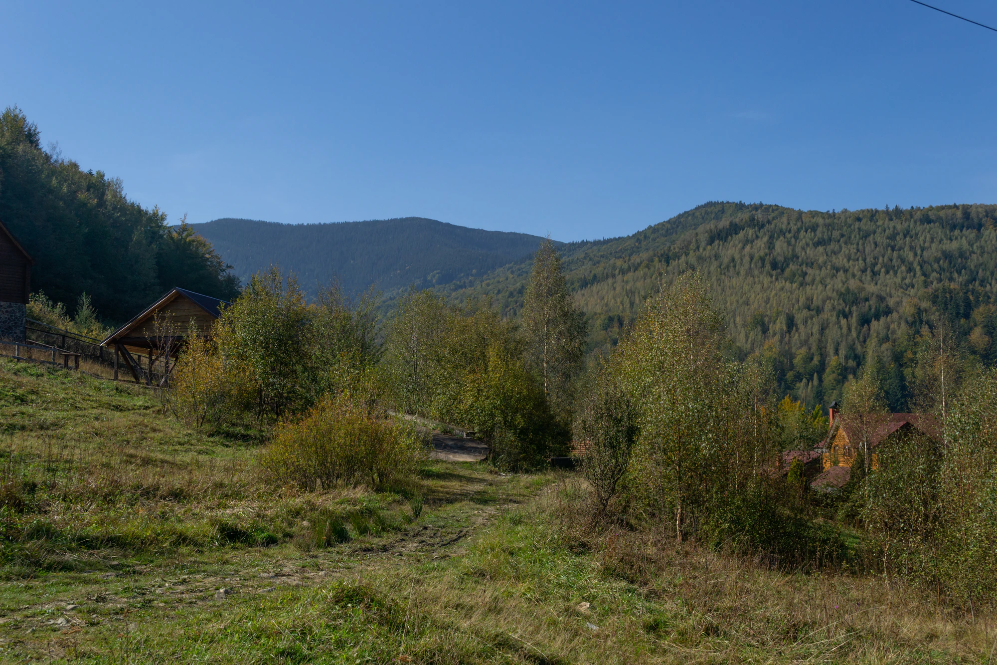 carpathian mountains in summer 148 — Descargar