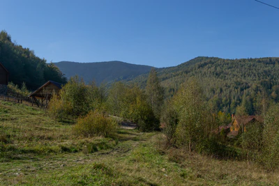 carpathian mountains in summer 148 — Descargar