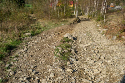 carpathian mountains in summer 149 — Descargar