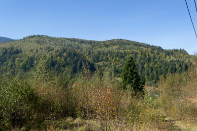 carpathian mountains in summer 150 — Descargar