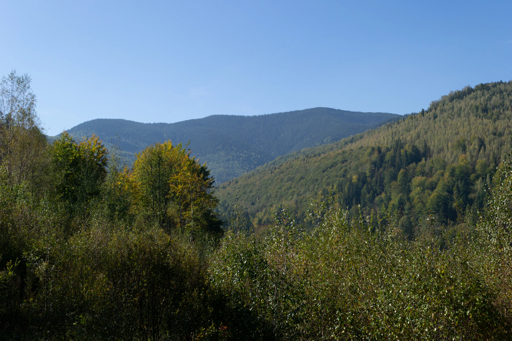 carpathian mountains in summer 151 — Скачать