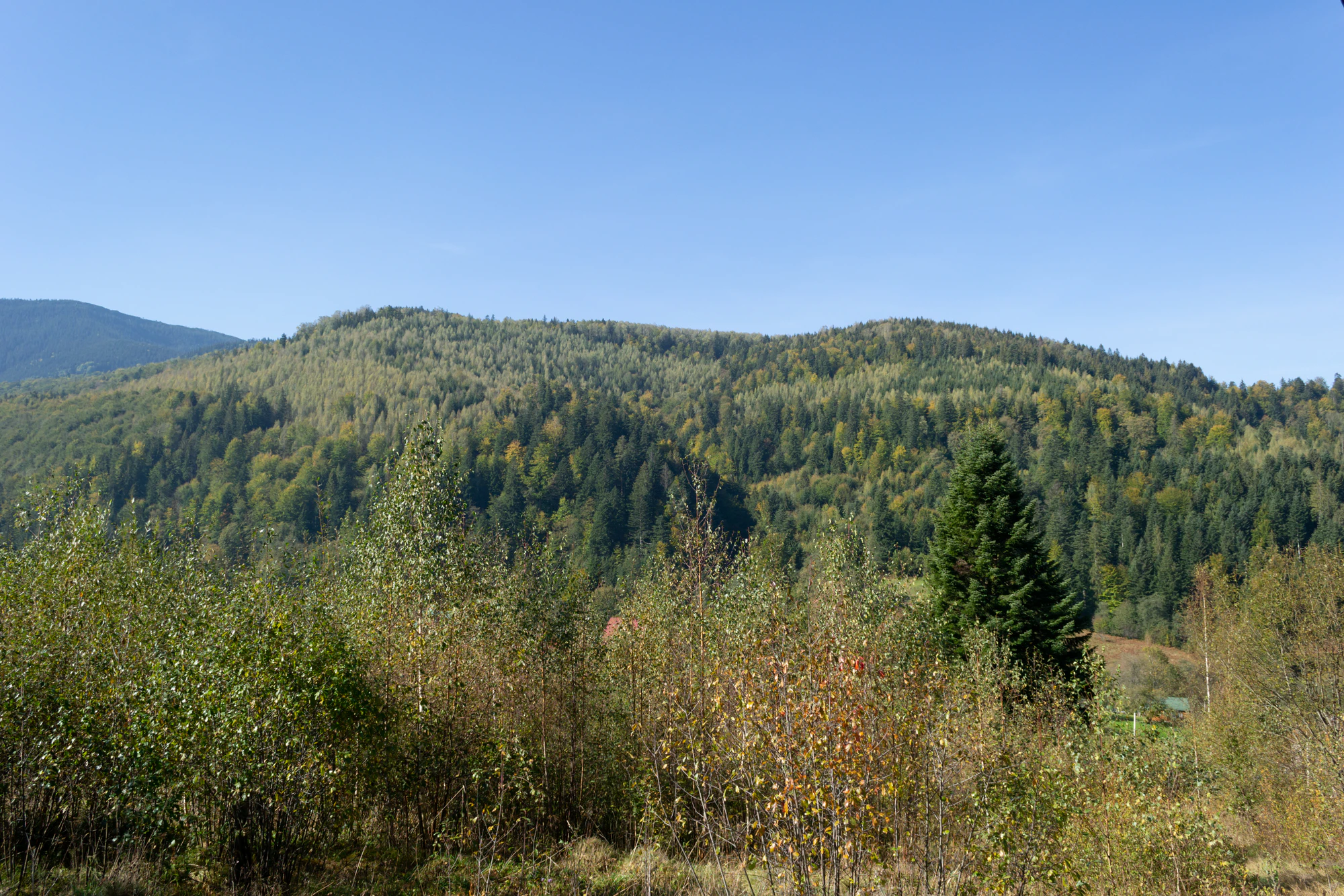 carpathian mountains in summer 152 — Скачать