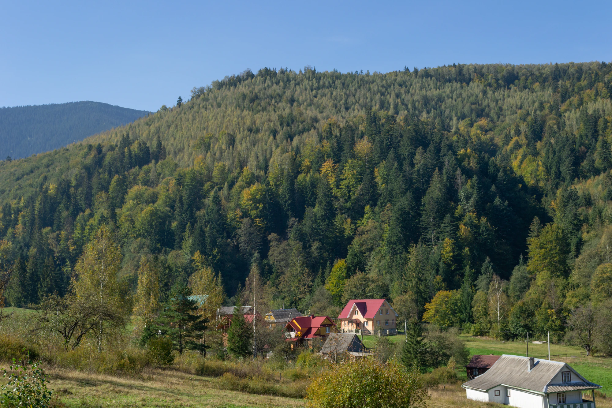 carpathian mountains in summer 153 — Скачать