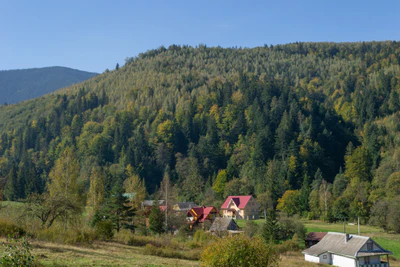 carpathian mountains in summer 153 — Скачать