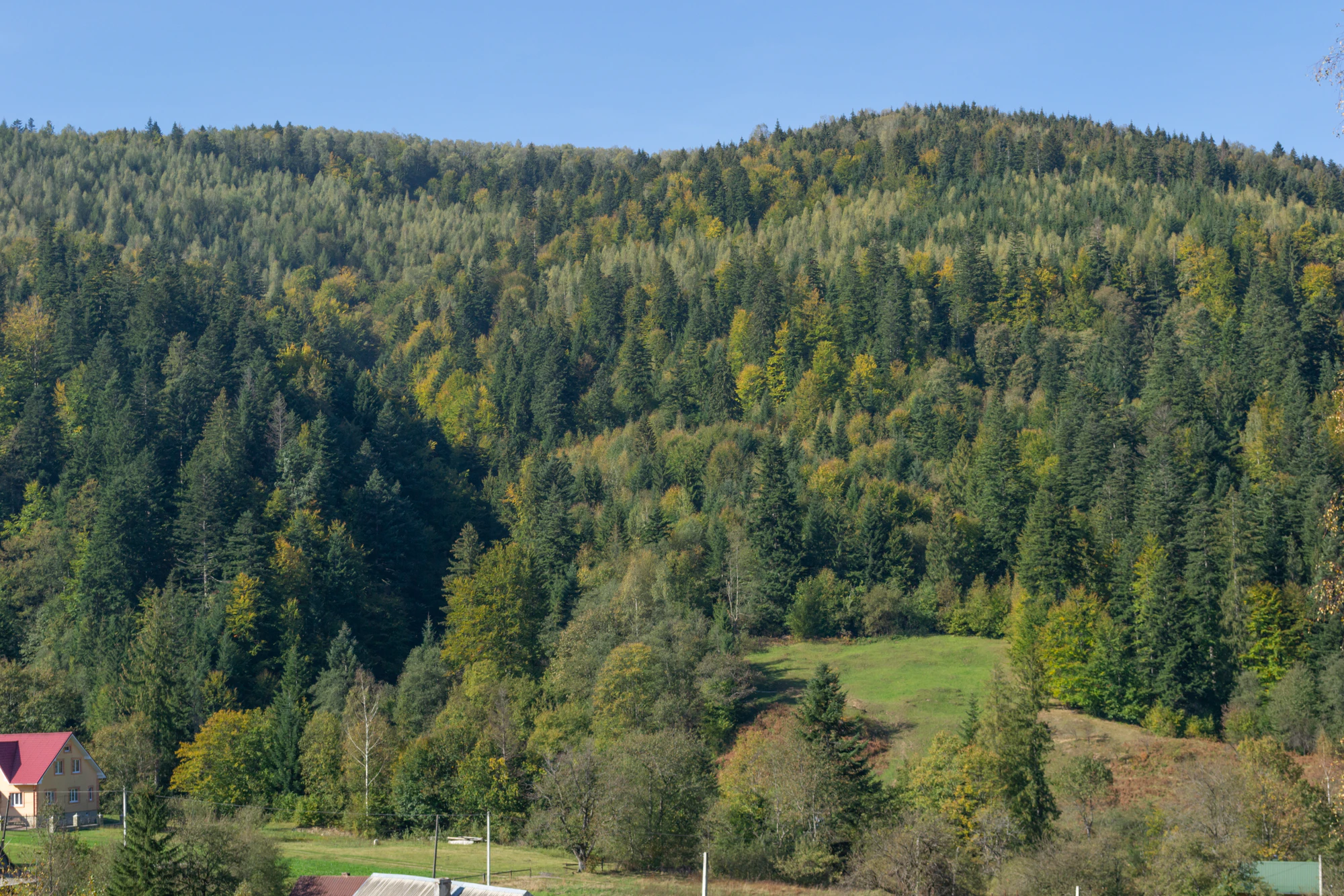 carpathian mountains in summer 154 — Скачать