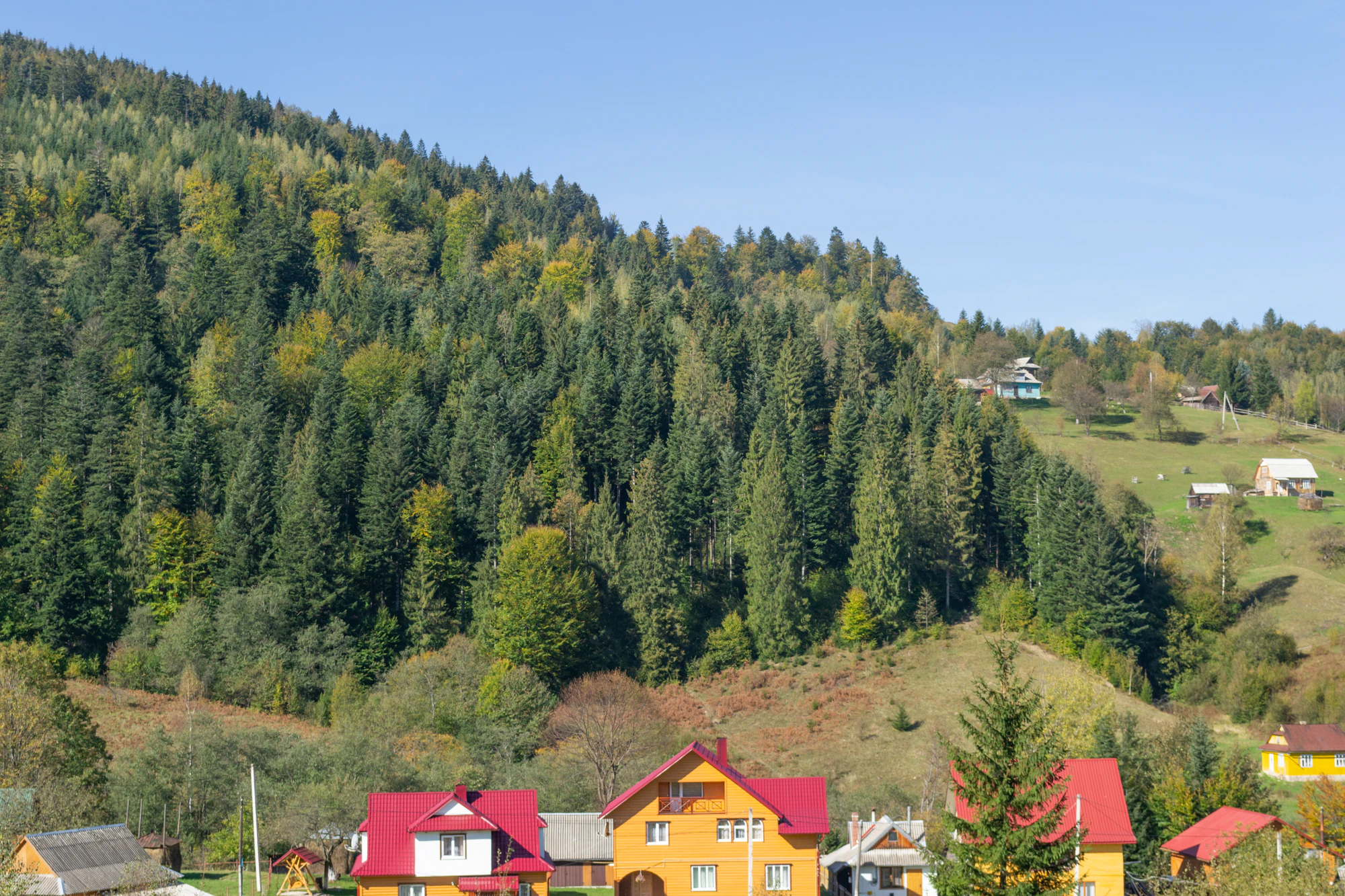 carpathian mountains in summer 155 — Скачать